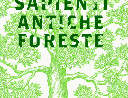 Libro: Alberi sapienti, antiche foreste di Daniele Zovi