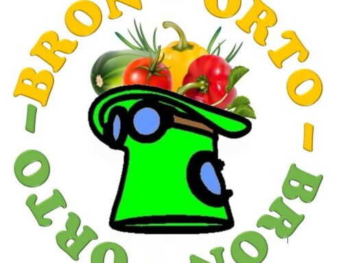 Progetto BRONORTO